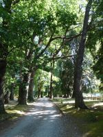 P_santa _ines_02